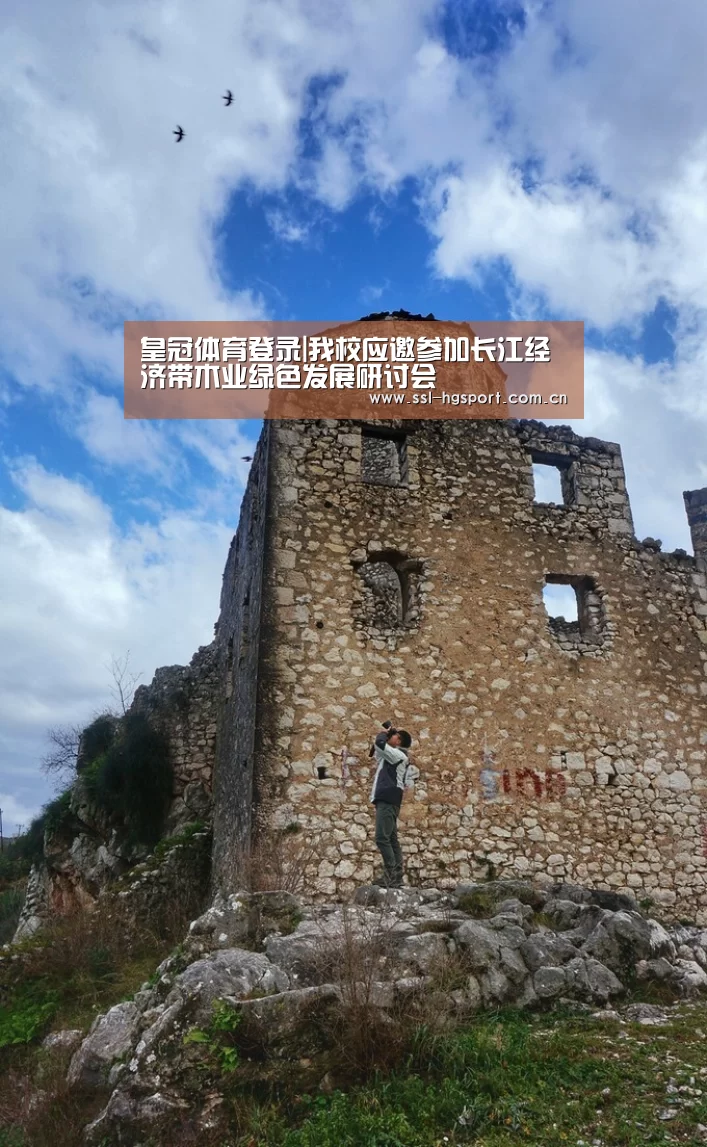 皇冠体育登录|我校应邀参加长江经济带木业绿色发展研讨会(图1) 皇冠体育官网