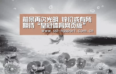 前景再次光明 锌价或有所期待“皇冠体育网页版”(图2) 皇冠体育登录