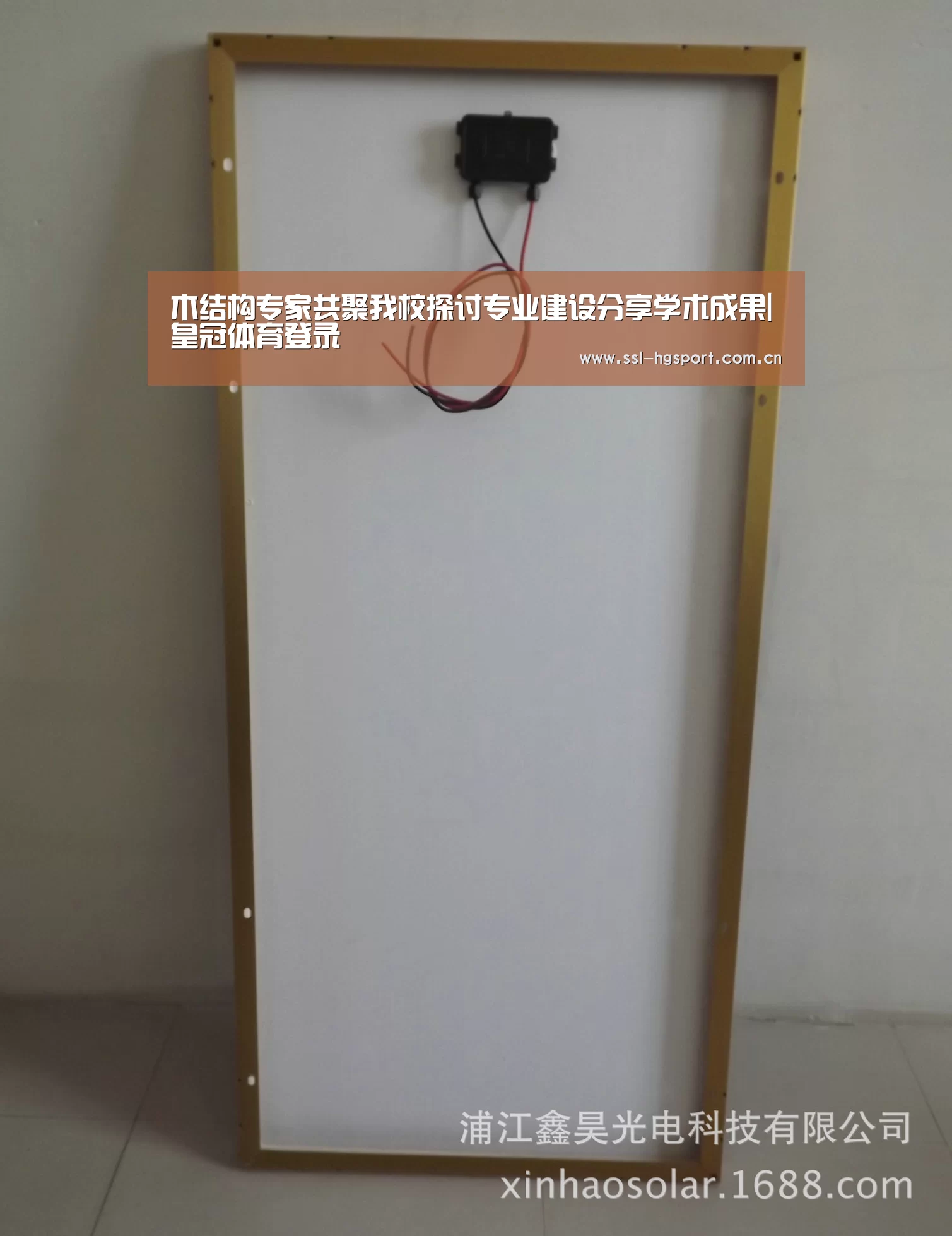 木结构专家共聚我校探讨专业建设分享学术成果|皇冠体育登录(图1) 皇冠体育app