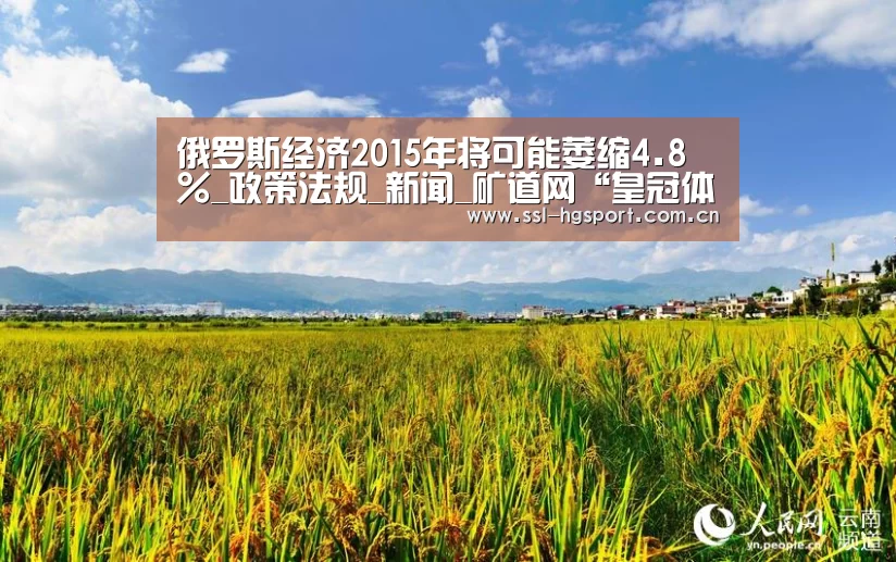 俄罗斯经济2015年将可能萎缩4.8%_政策法规_新闻_矿道网“皇冠体育网页版”(图4) 皇冠体育网页版